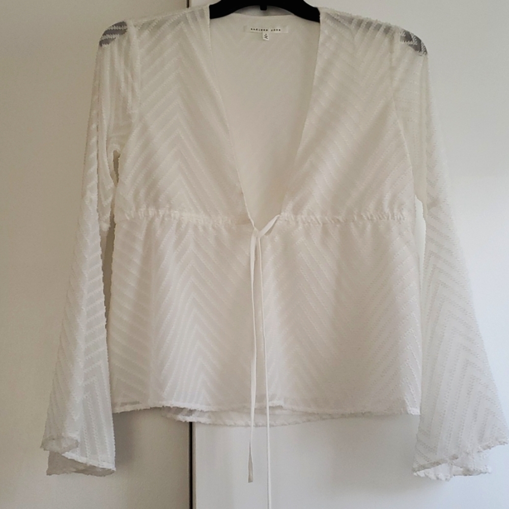 Endless Rose sheer blouse
